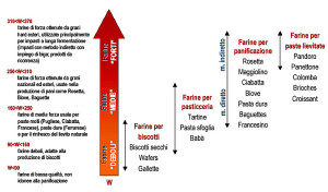 forza-farina-schema-2