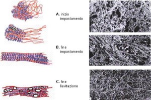 ventilazione impasto