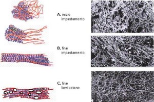 ventilazione impasto