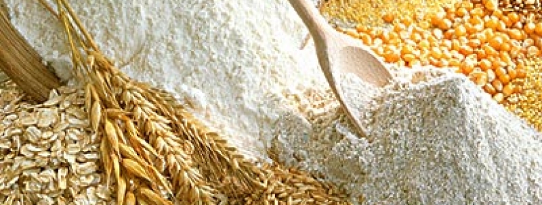 La Forza della Farina La Forza della Farina